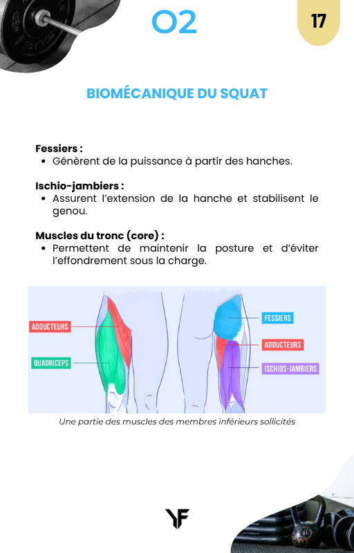 Ebook biomécanique - Le SBD