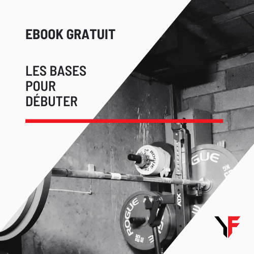 Ebook gratuit - Comprendre les bases